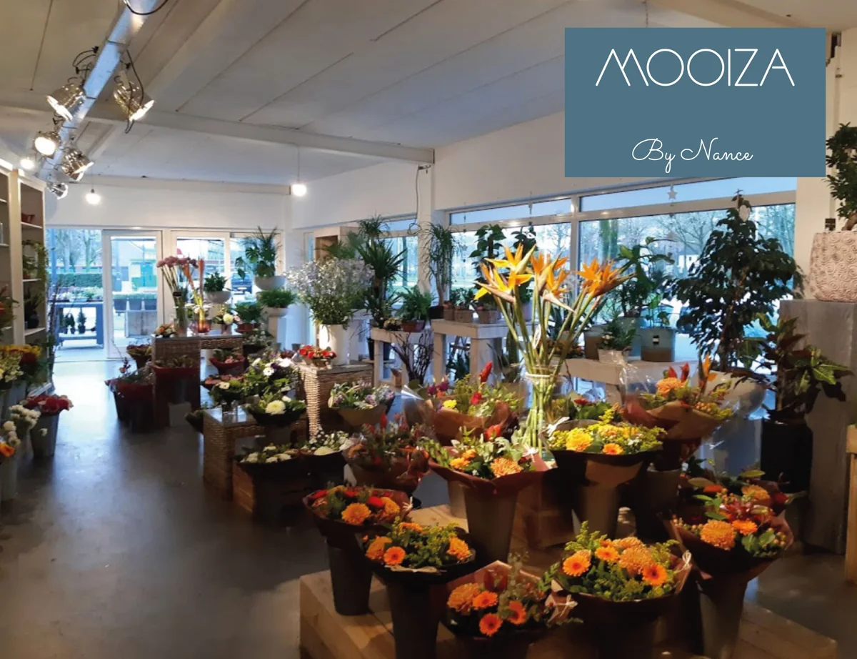 Mooiza bloemen en cadeaus